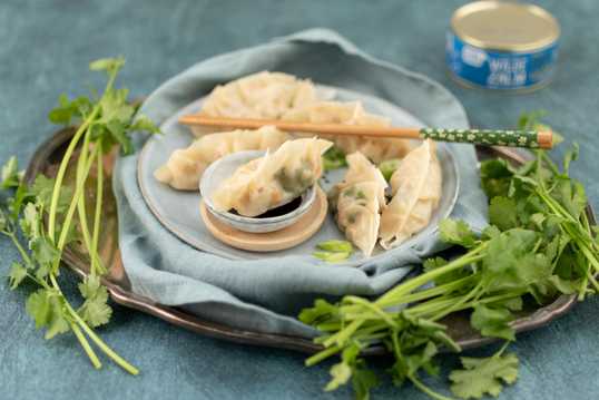Zalm gyoza (van duurzaam gevangen zalm)