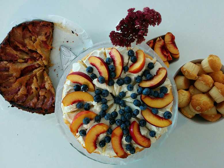 IMG_20150905_092603_small